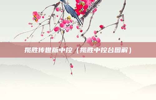 揽胜传世版中控(揽胜中控台图解)