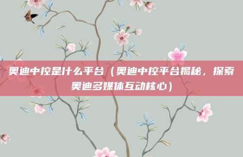 奥迪中控是什么平台(奥迪中控平台揭秘,探索奥迪多媒体互动核心)
