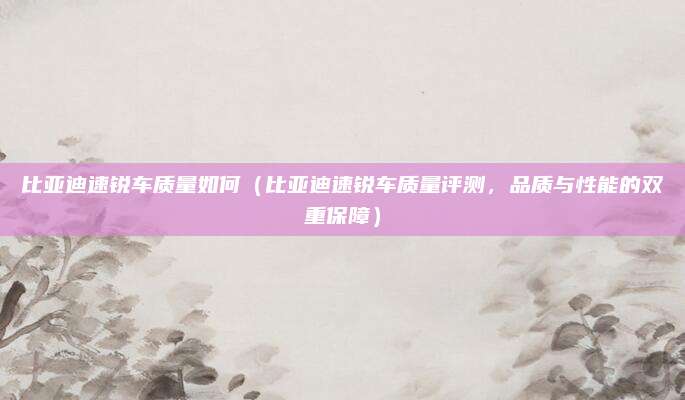 比亚迪速锐车质量如何(比亚迪速锐车质量评测,品质与性能的双重保障)