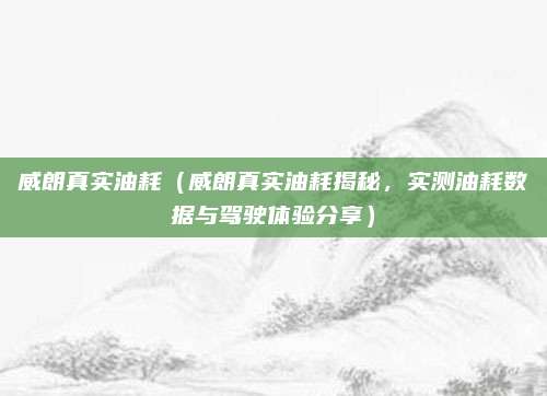 威朗真实油耗(威朗真实油耗揭秘,实测油耗数据与驾驶体验分享)