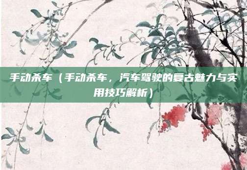 手动杀车(手动杀车,汽车驾驶的复古魅力与实用技巧解析)
