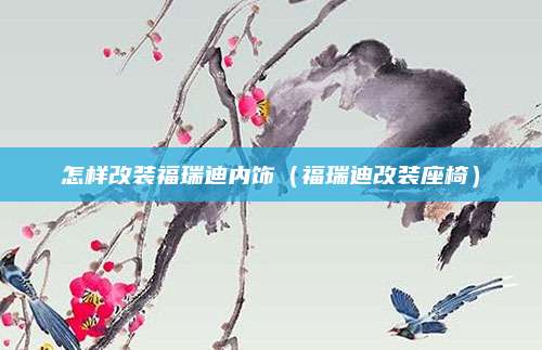怎样改装福瑞迪内饰(福瑞迪改装座椅)