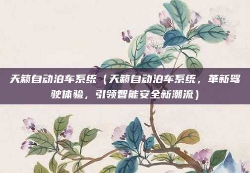 天籁自动泊车系统(天籁自动泊车系统,革新驾驶体验,引领智能安全新潮流)