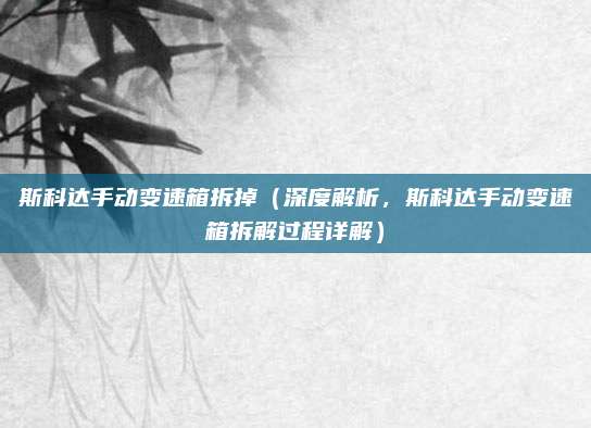 斯科达手动变速箱拆掉(深度解析,斯科达手动变速箱拆解过程详解)