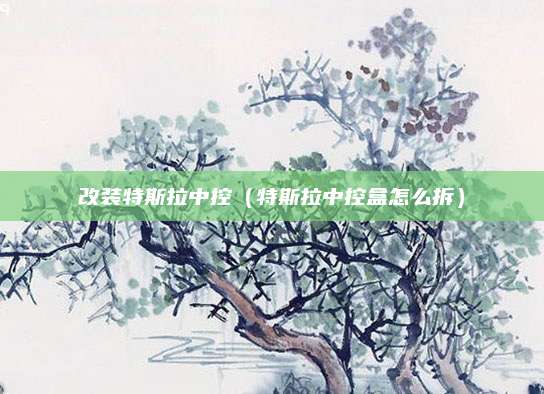 改装特斯拉中控(特斯拉中控盒怎么拆)