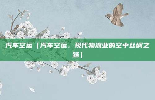 汽车空运（汽车空运，现代物流业的空中丝绸之路）
