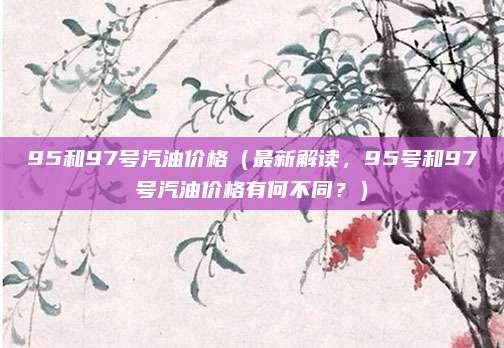95和97号汽油价格(最新解读,95号和97号汽油价格有何不同?)