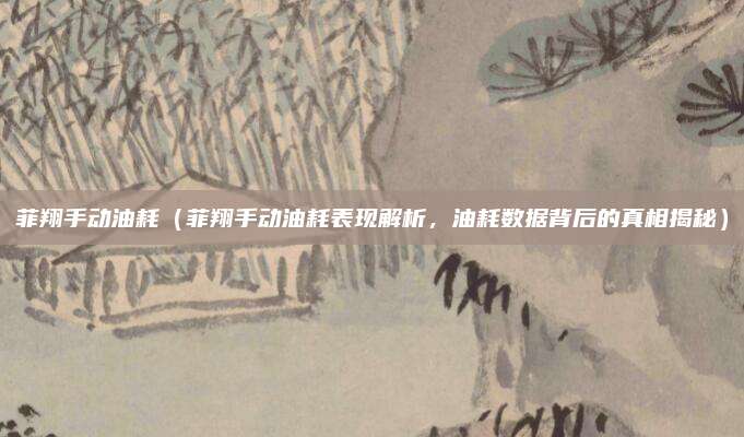 菲翔手动油耗(菲翔手动油耗表现解析,油耗数据背后的真相揭秘)