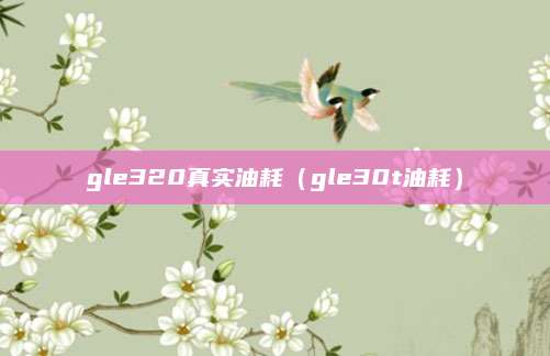 gle320真实油耗(gle30t油耗)