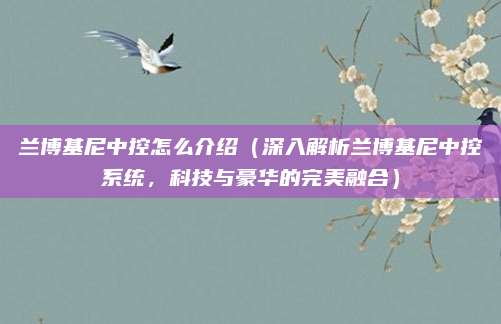 兰博基尼中控怎么介绍（深入解析兰博基尼中控系统，科技与豪华的完美融合）