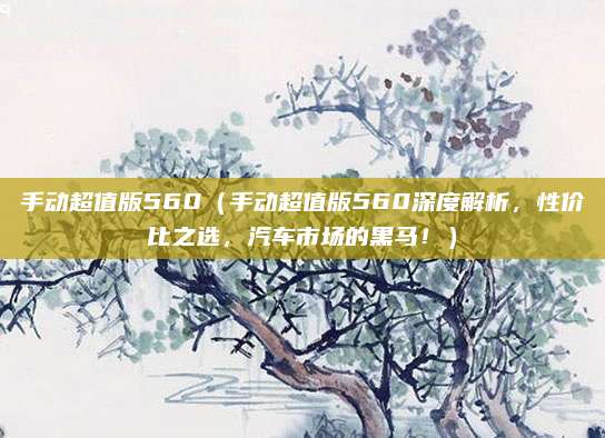 手动超值版560(手动超值版560深度解析,性价比之选,汽车市场的黑马!)