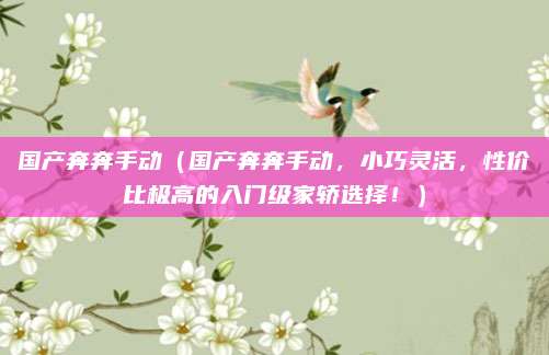 国产奔奔手动（国产奔奔手动，小巧灵活，性价比极高的入门级家轿选择！）