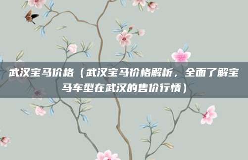 武汉宝马价格(武汉宝马价格解析,全面了解宝马车型在武汉的售价行情)