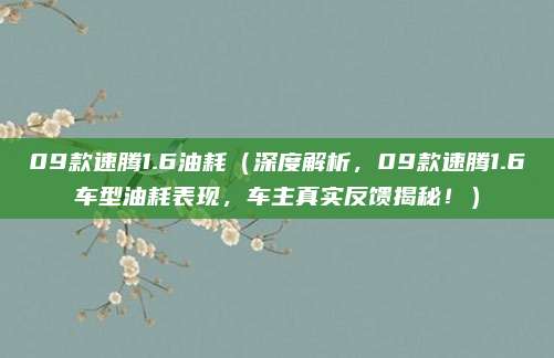 09款速腾1.6油耗(深度解析,09款速腾1.6车型油耗表现,车主真实反馈揭秘!)