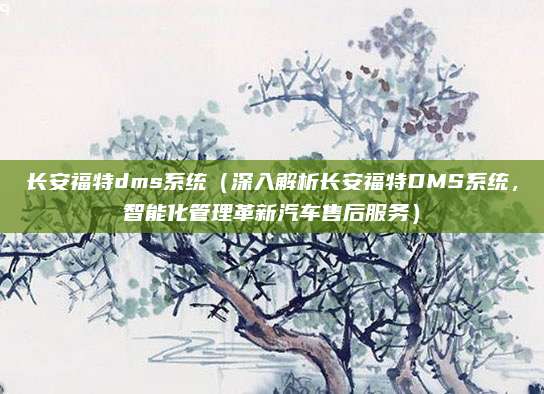 长安福特dms系统(深入解析长安福特DMS系统,智能化管理革新汽车售后服务)