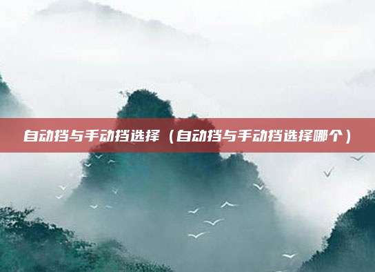 自动挡与手动挡选择(自动挡与手动挡选择哪个)