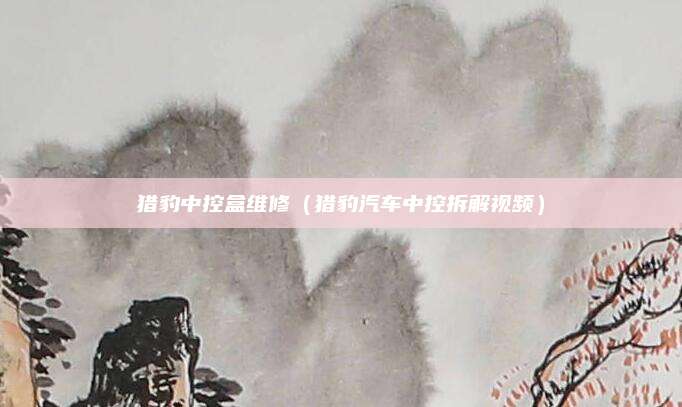 猎豹中控盒维修(猎豹汽车中控拆解视频)
