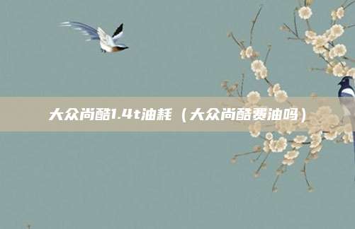 大众尚酷1.4t油耗(大众尚酷费油吗)