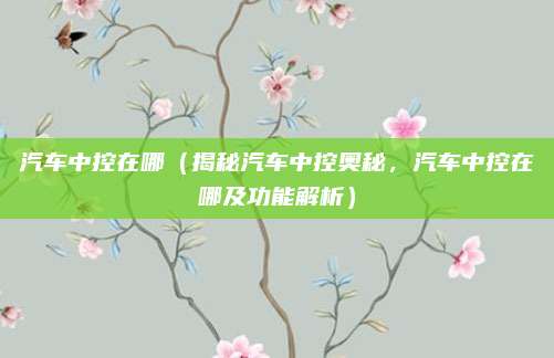 汽车中控在哪（揭秘汽车中控奥秘，汽车中控在哪及功能解析）