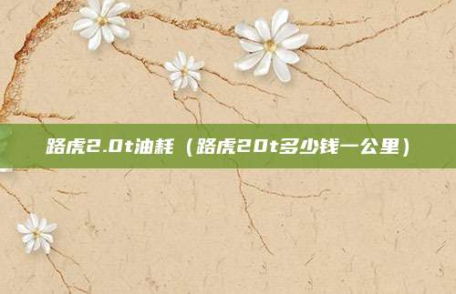 路虎2.0t油耗(路虎20t多少钱一公里)