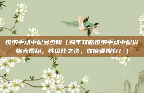 悦纳手动中配多少钱（购车攻略悦纳手动中配价格大揭秘，性价比之选，你值得拥有！）