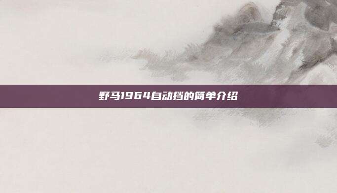 野马1964自动挡的简单介绍