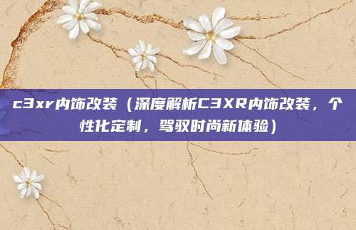 c3xr内饰改装(深度解析C3XR内饰改装,个性化定制,驾驭时尚新体验)