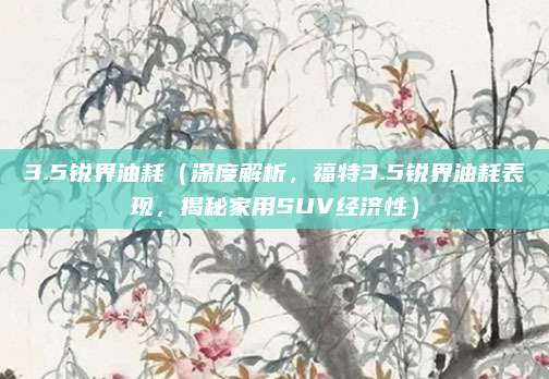 3.5锐界油耗(深度解析,福特3.5锐界油耗表现,揭秘家用SUV经济性)