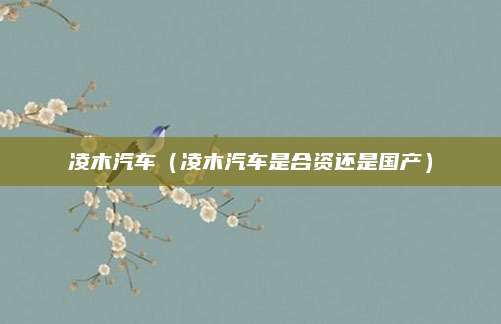 凌木汽车(凌木汽车是合资还是国产)