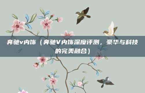 奔驰v内饰(奔驰V内饰深度评测,豪华与科技的完美融合)