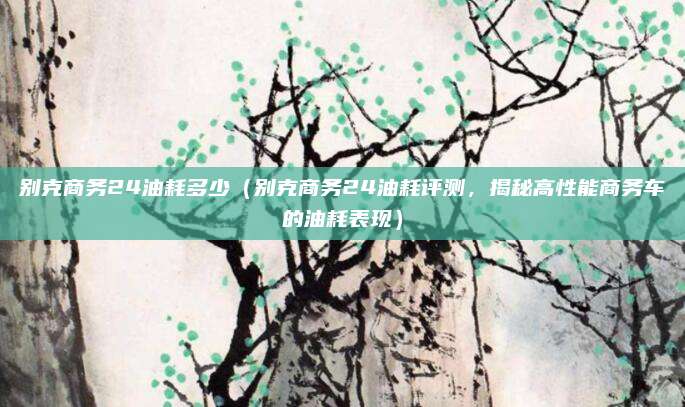 别克商务24油耗多少(别克商务24油耗评测,揭秘高性能商务车的油耗表现)