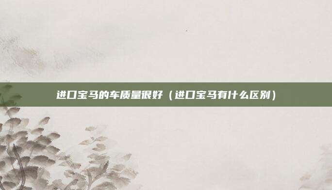 进口宝马的车质量很好(进口宝马有什么区别)