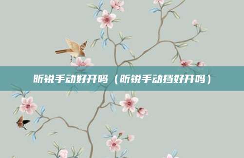 昕锐手动好开吗(昕锐手动挡好开吗)