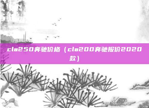 cla250奔驰价格(cla200奔驰报价2020款)