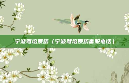 宁波驾培系统(宁波驾培系统客服电话)