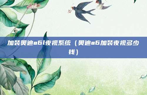 加装奥迪a6l夜视系统(奥迪a6加装夜视多少钱)