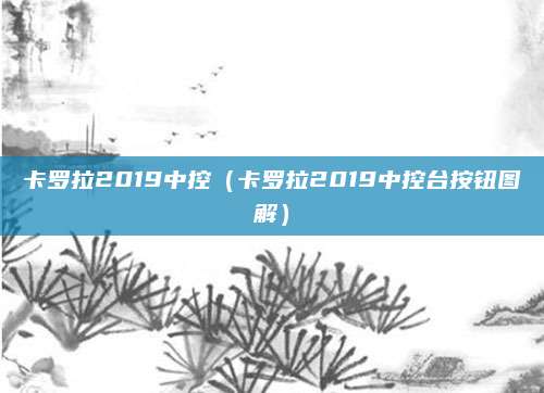 卡罗拉2019中控(卡罗拉2019中控台按钮图解)