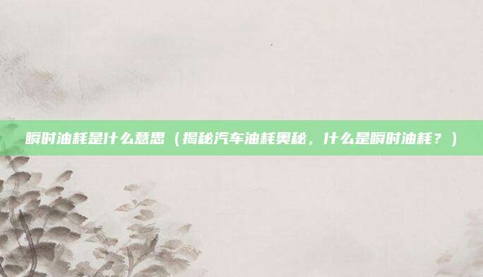 瞬时油耗是什么意思(揭秘汽车油耗奥秘,什么是瞬时油耗?)