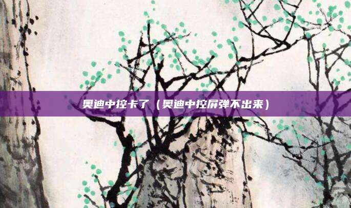 奥迪中控卡了(奥迪中控屏弹不出来)