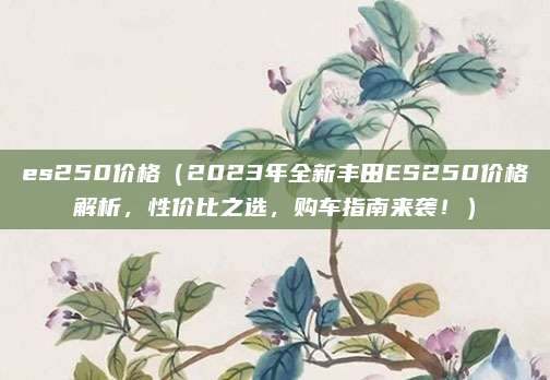 es250价格(2023年全新丰田ES250价格解析,性价比之选,购车指南来袭!)