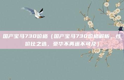 国产宝马730价格（国产宝马730价格解析，性价比之选，豪华不再遥不可及）