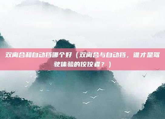 双离合和自动挡哪个好(双离合与自动挡,谁才是驾驶体验的佼佼者?)