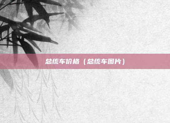 总统车价格(总统车图片)