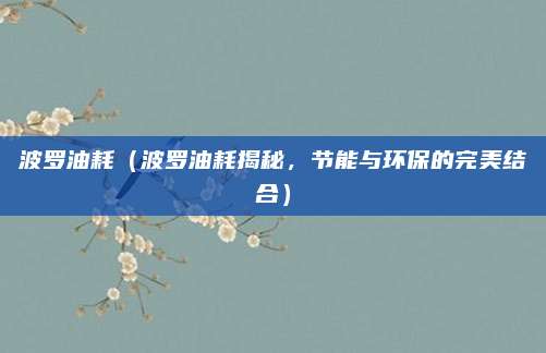 波罗油耗(波罗油耗揭秘,节能与环保的完美结合)