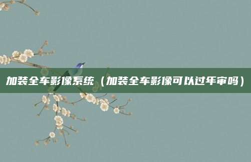 加装全车影像系统(加装全车影像可以过年审吗)