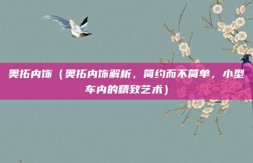 奥拓内饰(奥拓内饰解析,简约而不简单,小型车内的精致艺术)