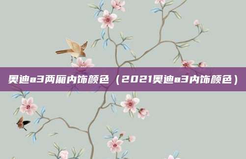 奥迪a3两厢内饰颜色(2021奥迪a3内饰颜色)