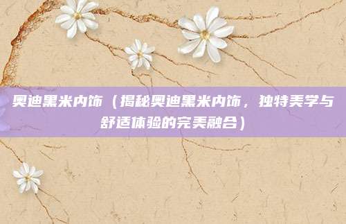 奥迪黑米内饰(揭秘奥迪黑米内饰,独特美学与舒适体验的完美融合)