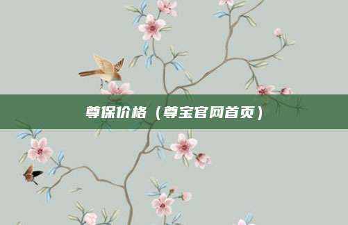 尊保价格(尊宝官网首页)