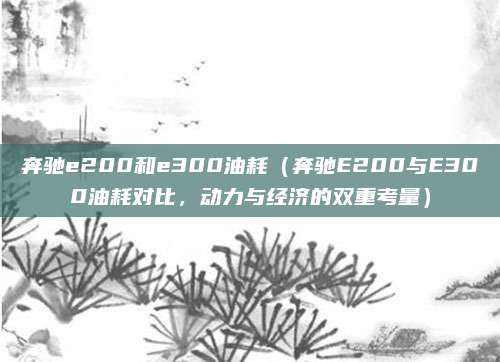 奔驰e200和e300油耗（奔驰E200与E300油耗对比，动力与经济的双重考量）